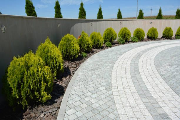 Reasons to Select Us for Your Driveway Paving Requirements in Hialeah Gardens, FL